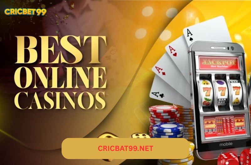 Cricbet ID vs Cricbet99 ID (2025): Difference & Which One to Use?